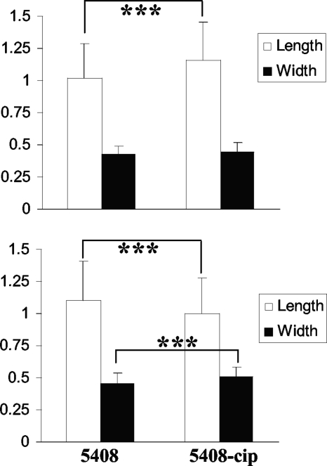 FIG. 2.