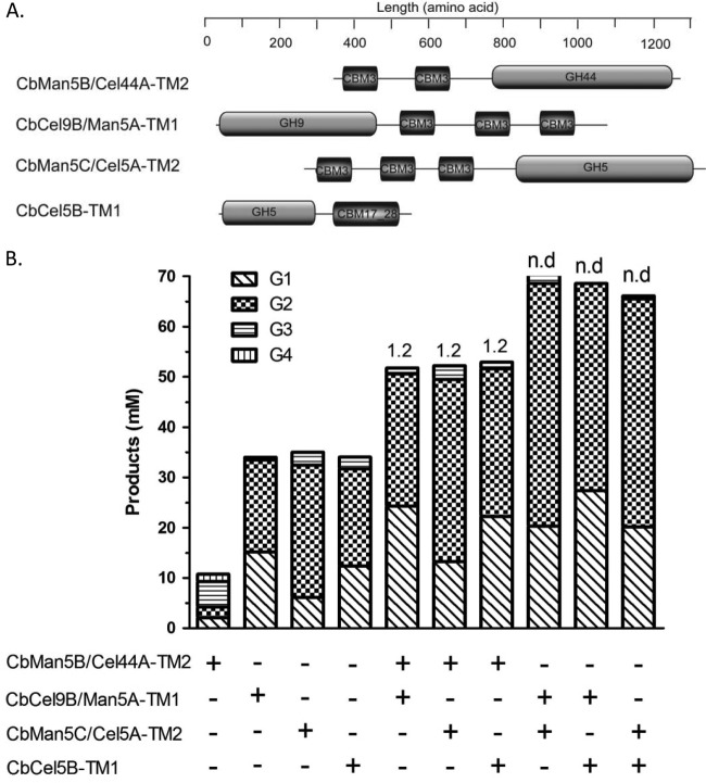 Fig 6