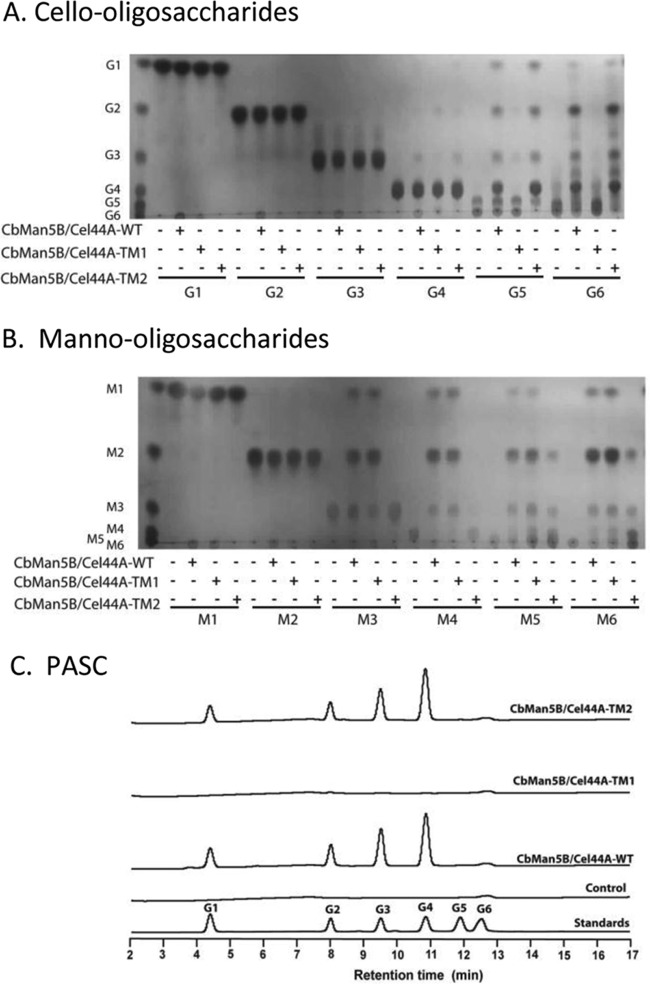 Fig 4