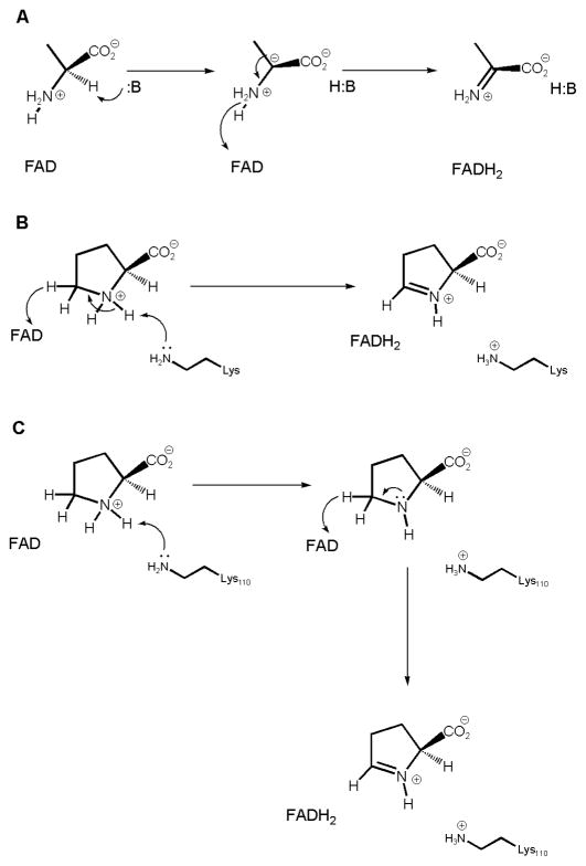 Scheme 3