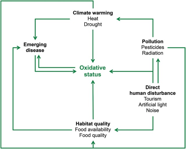 Figure 3: