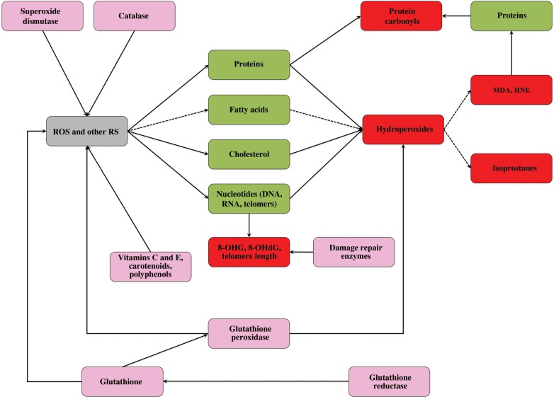 Figure 4: