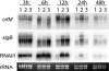 FIG. 4.