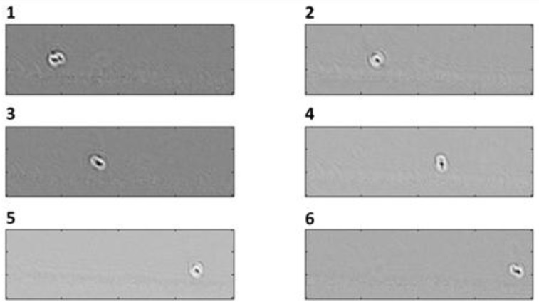 Figure 10