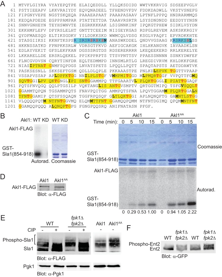 FIG 4