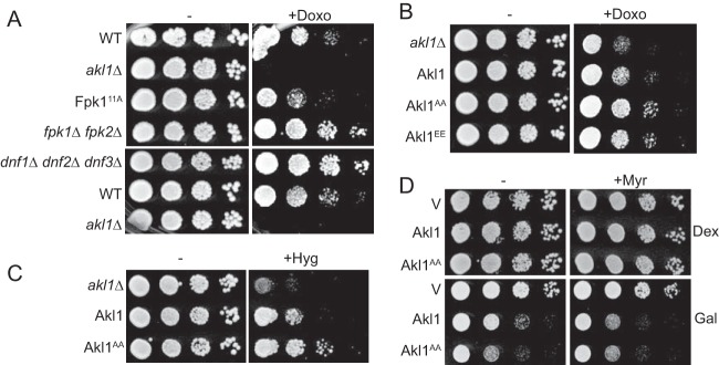 FIG 7