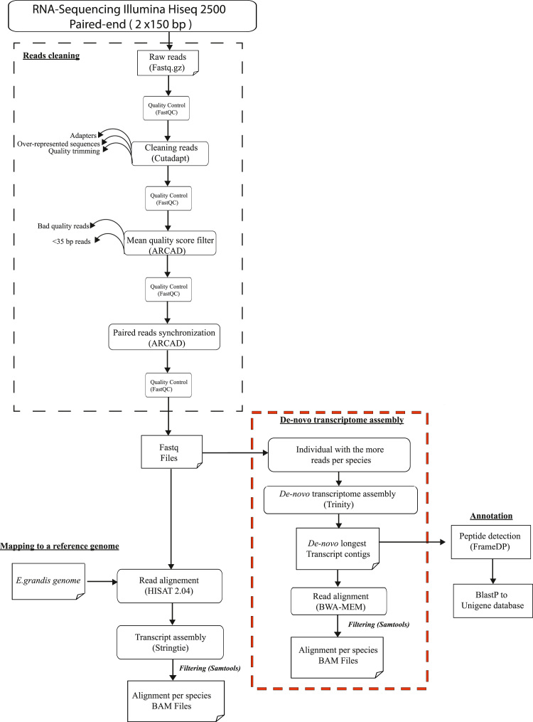 Fig. 2