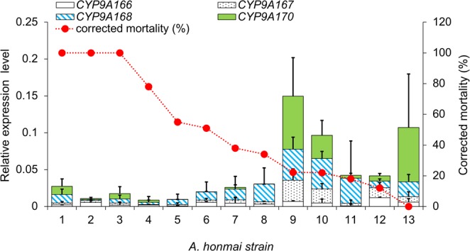 Figure 7