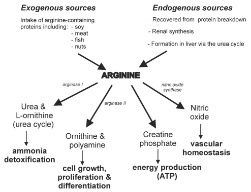 Figure 3)