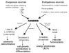 Figure 3)