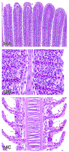 Figure 14.