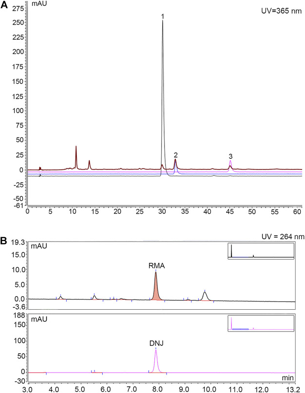 FIGURE 1