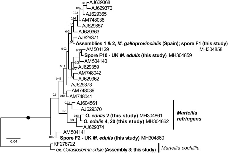 Fig. 3.