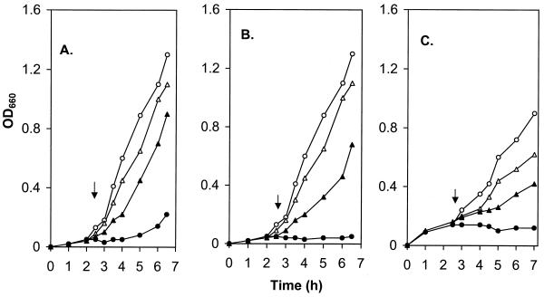 FIG. 3