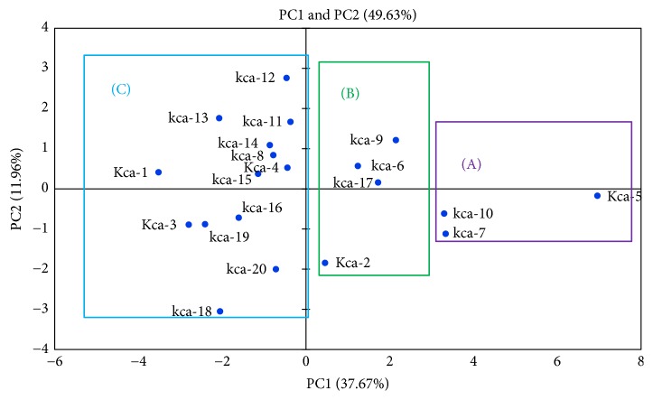 Figure 12