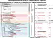 Unlabelled Image