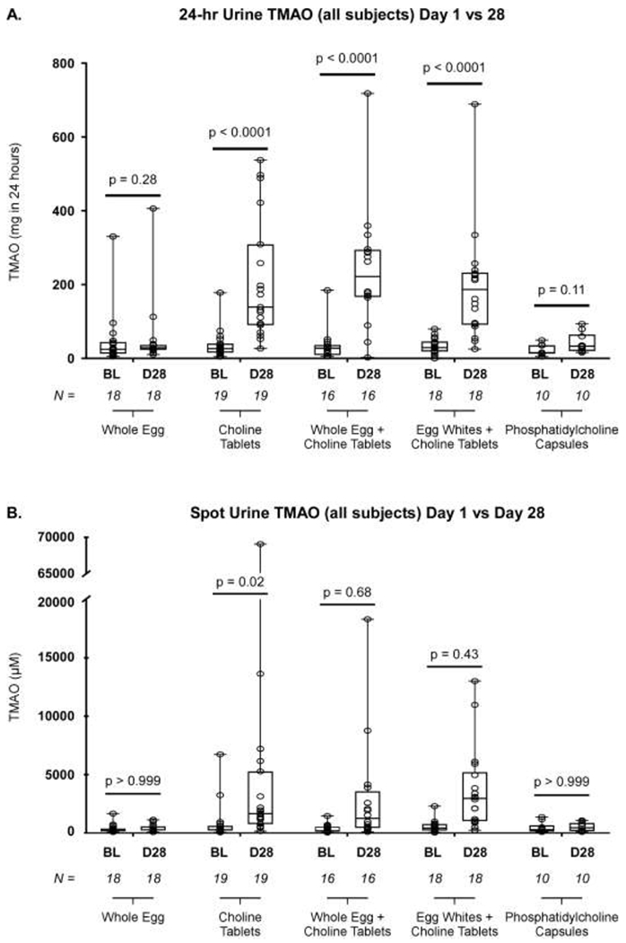 Figure 3: