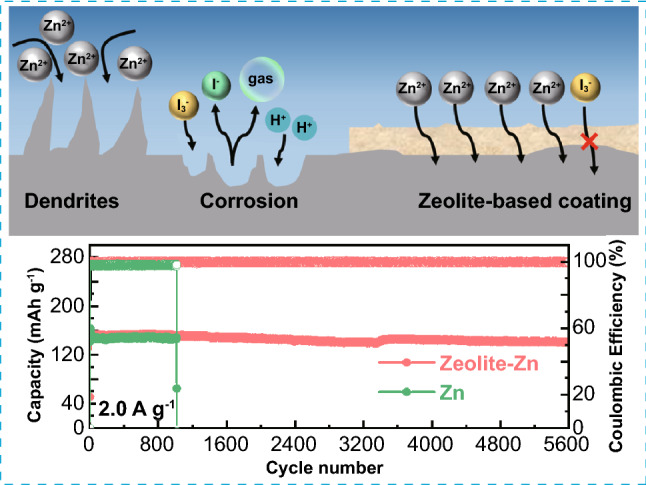 graphic file with name 40820_2022_825_Figa_HTML.jpg