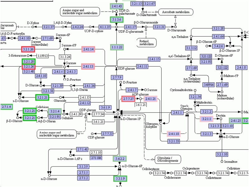 Fig 6