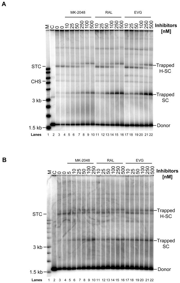 Figure 7