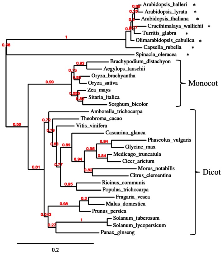 FIGURE 4