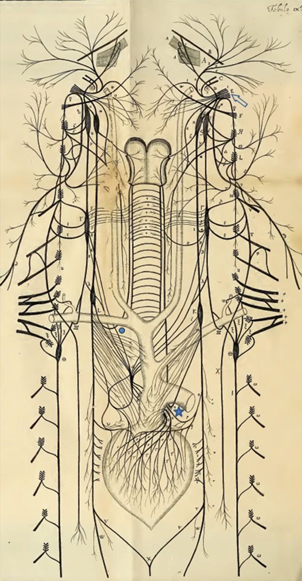 Fig 5