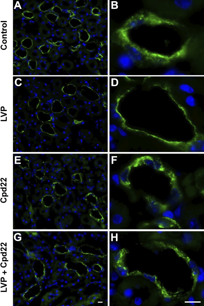 Fig. 11.