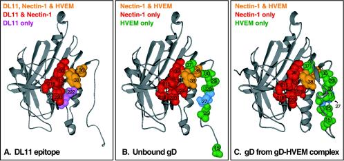 FIG. 8.