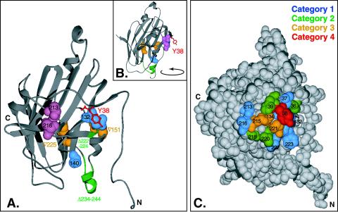 FIG. 4.