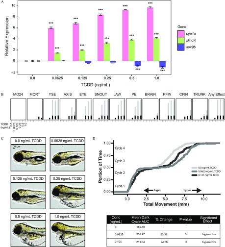 Figure 2A is a bar graph with standard error of the mean plotting relative expression (y-axis) across TCDD (nanograms per milliliter; x-axis) for genes cyp1a, slincR, and sox9b. Figure 2B is a graphical representation. Figure 2C shows illustrative lateral images. Figure 2D comprises a line graph and a tabular representation. The line graph plots portion of time (y-axis) across total movement in millimeters (x-axis) for 0.0 nanograms per milliliter TCDD, 0.625 nanograms per milliliter TCDD, and 0.125 nanograms per milliliter TCDD. The table has five columns, namely, concentration (nanograms per milliliter), mean dark cycle AUC, percent change, p value, and significant effect.