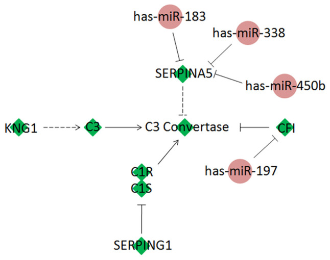 Figure 5.