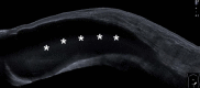 Fig. 9.