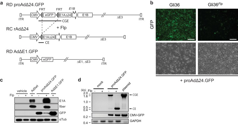 FIG 1