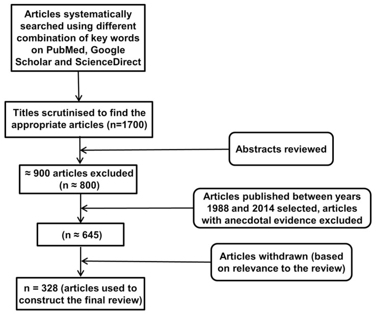 FIGURE 1