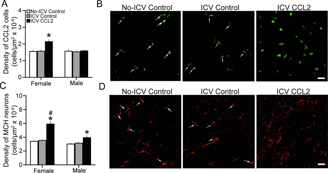 Figure 6: