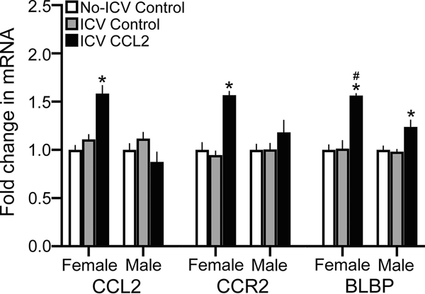 Figure 3: