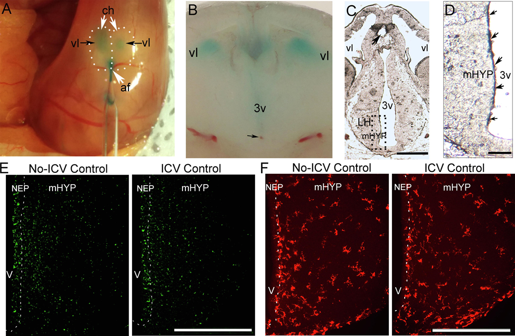 Figure 2: