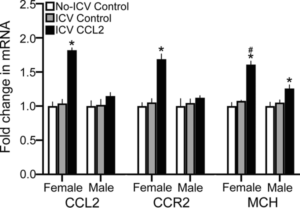 Figure 5: