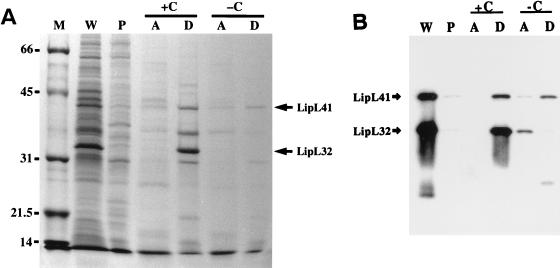 FIG. 4