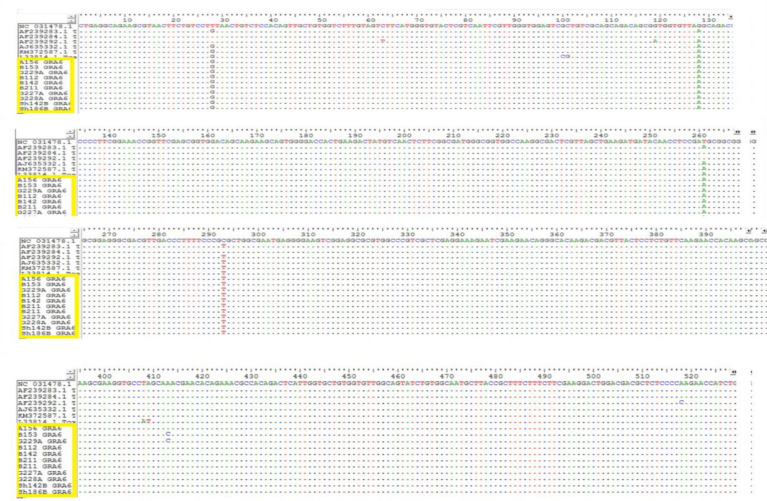 Fig. 5: