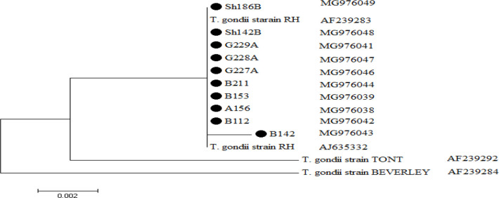 Fig. 6: