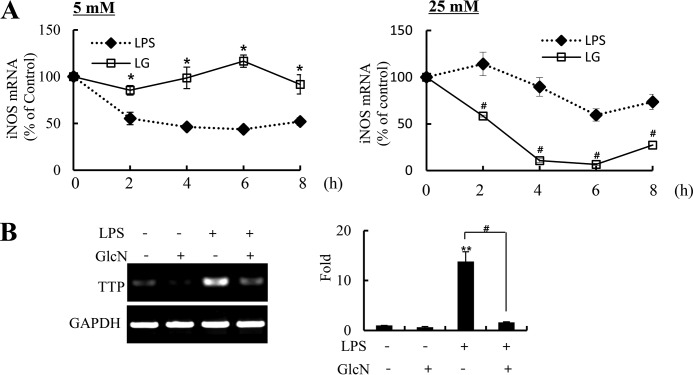 FIGURE 9.