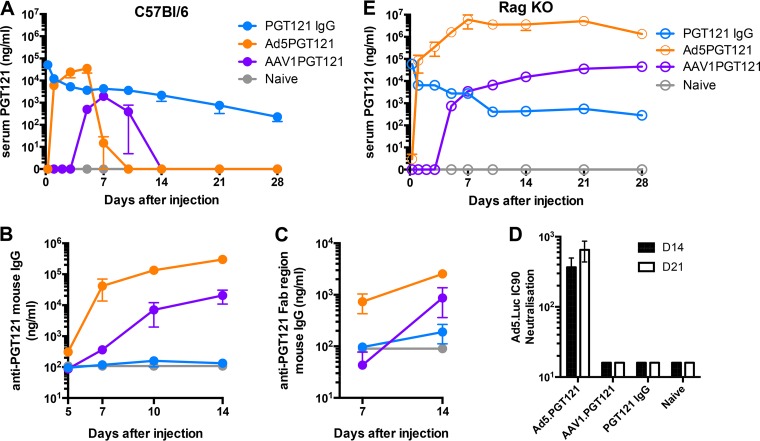 FIG 3