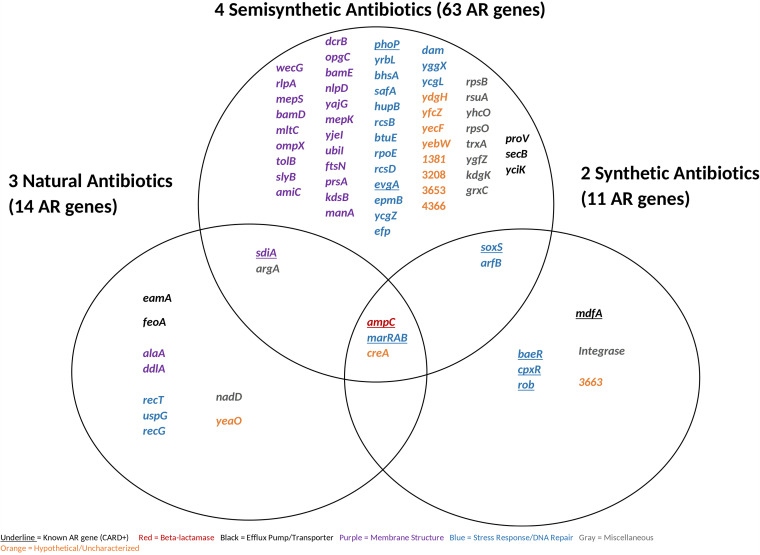 FIG 7