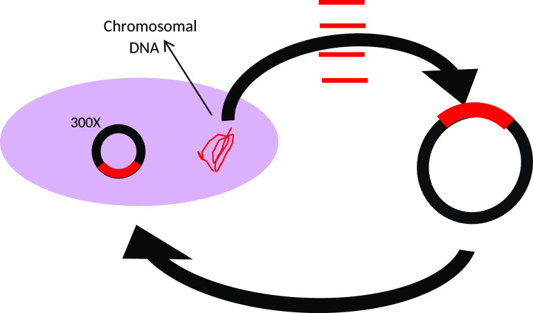 FIG 1