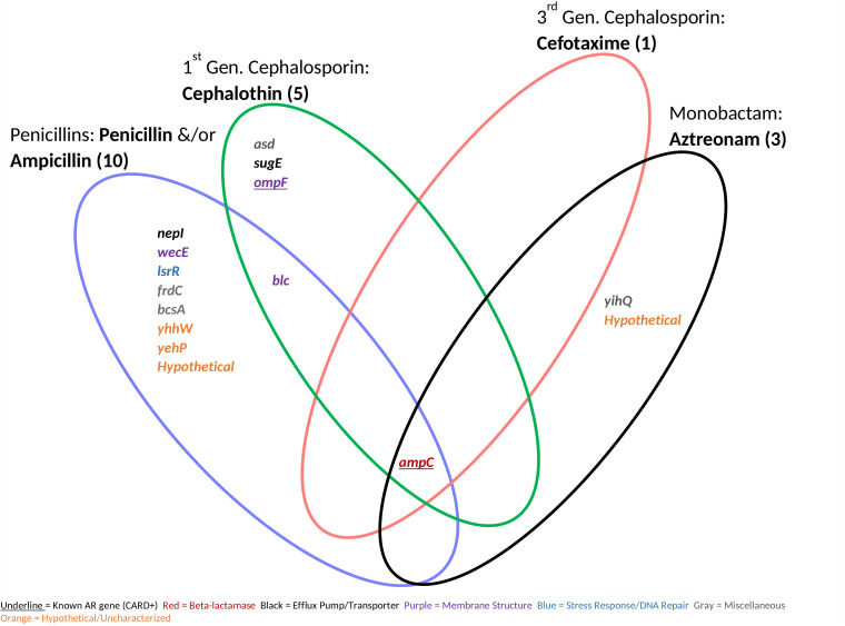 FIG 6