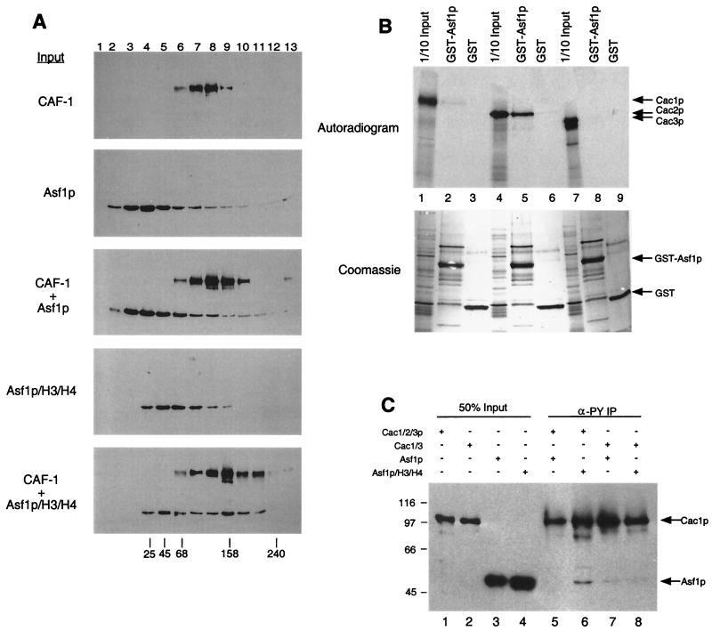 FIG. 6.