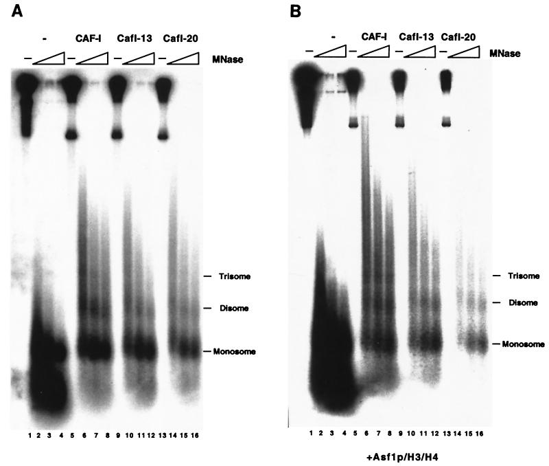 FIG. 5.