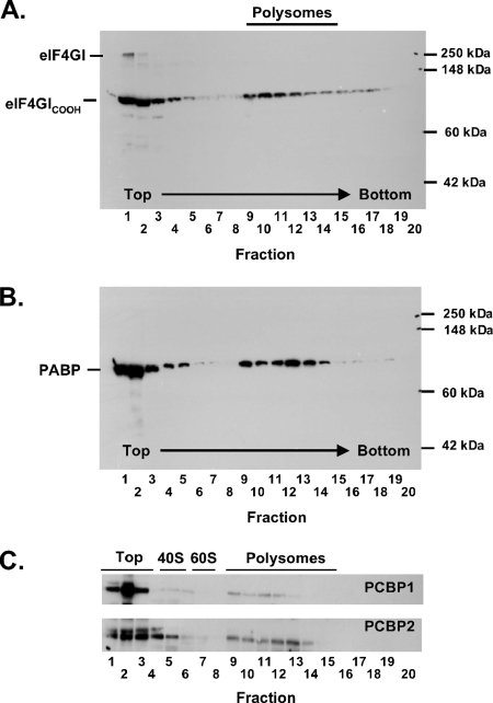 FIG. 7.