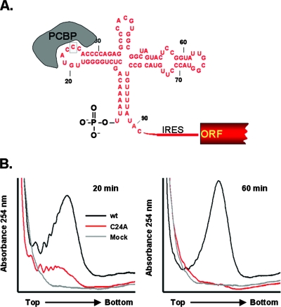 FIG. 8.